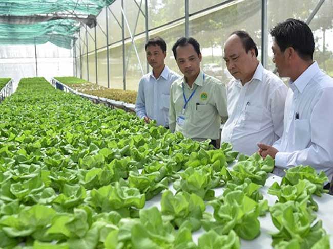 Thủ tướng đặt hàng ngành nông nghiệp 10 năm nữa vào Top 15 thế giới