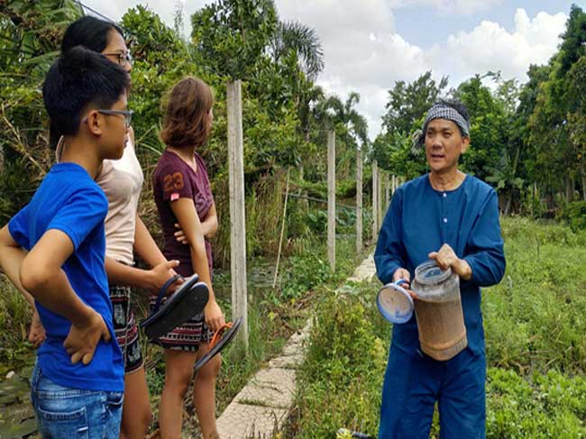 Vườn hữu cơ hút khách